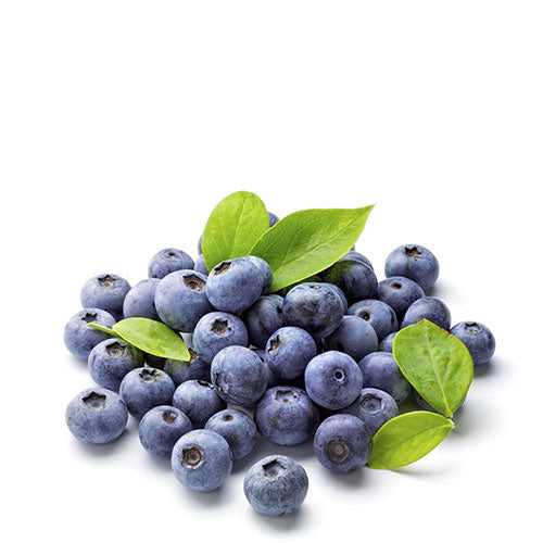 Blueberry fresco orgánico